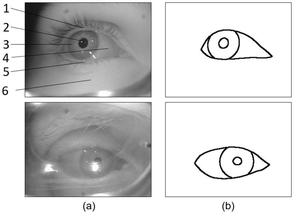 Human eye image enhancement method