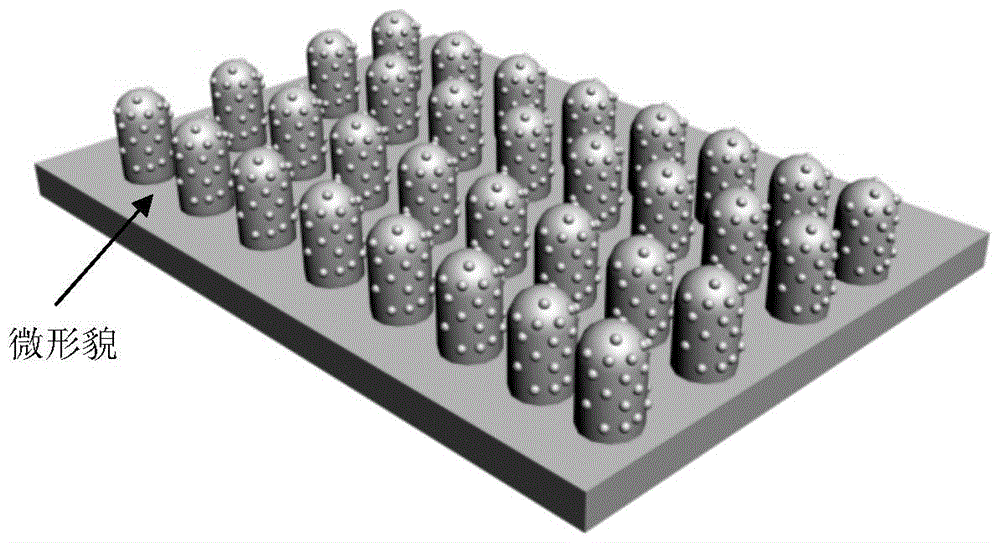 Preparation method of a shape memory material with physical self-healing superhydrophobic properties