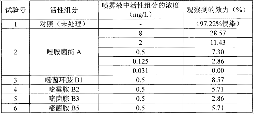 Antifungal composition containing pyraclostrobin and pyrimidine compounds