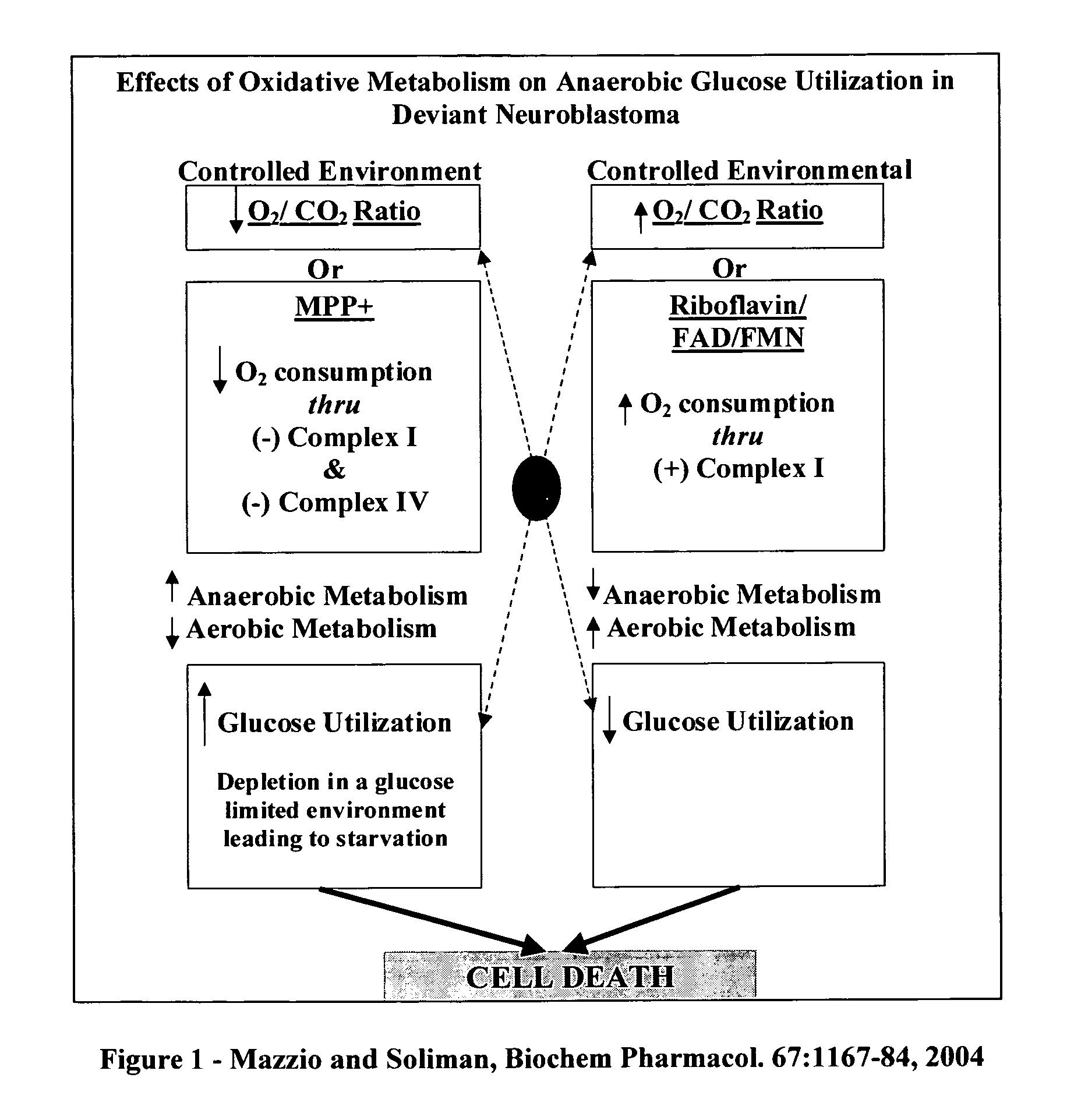 Herbal composition and method of use for the treatment of cancer