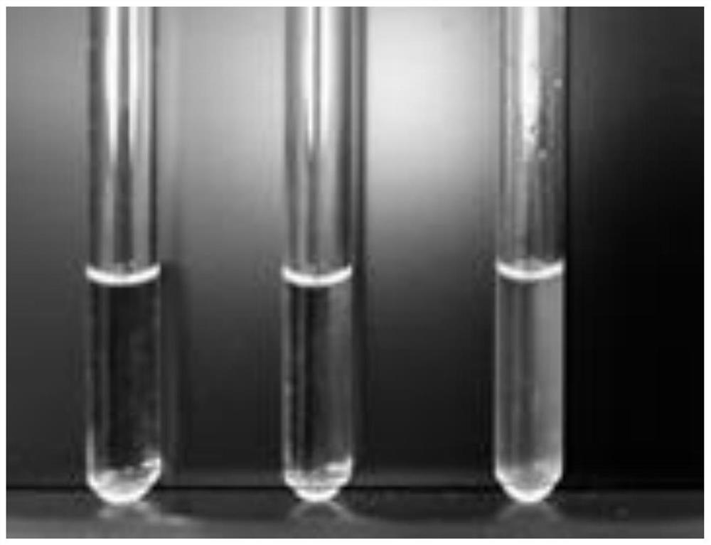 A kind of protection method of lithium ion battery electrode