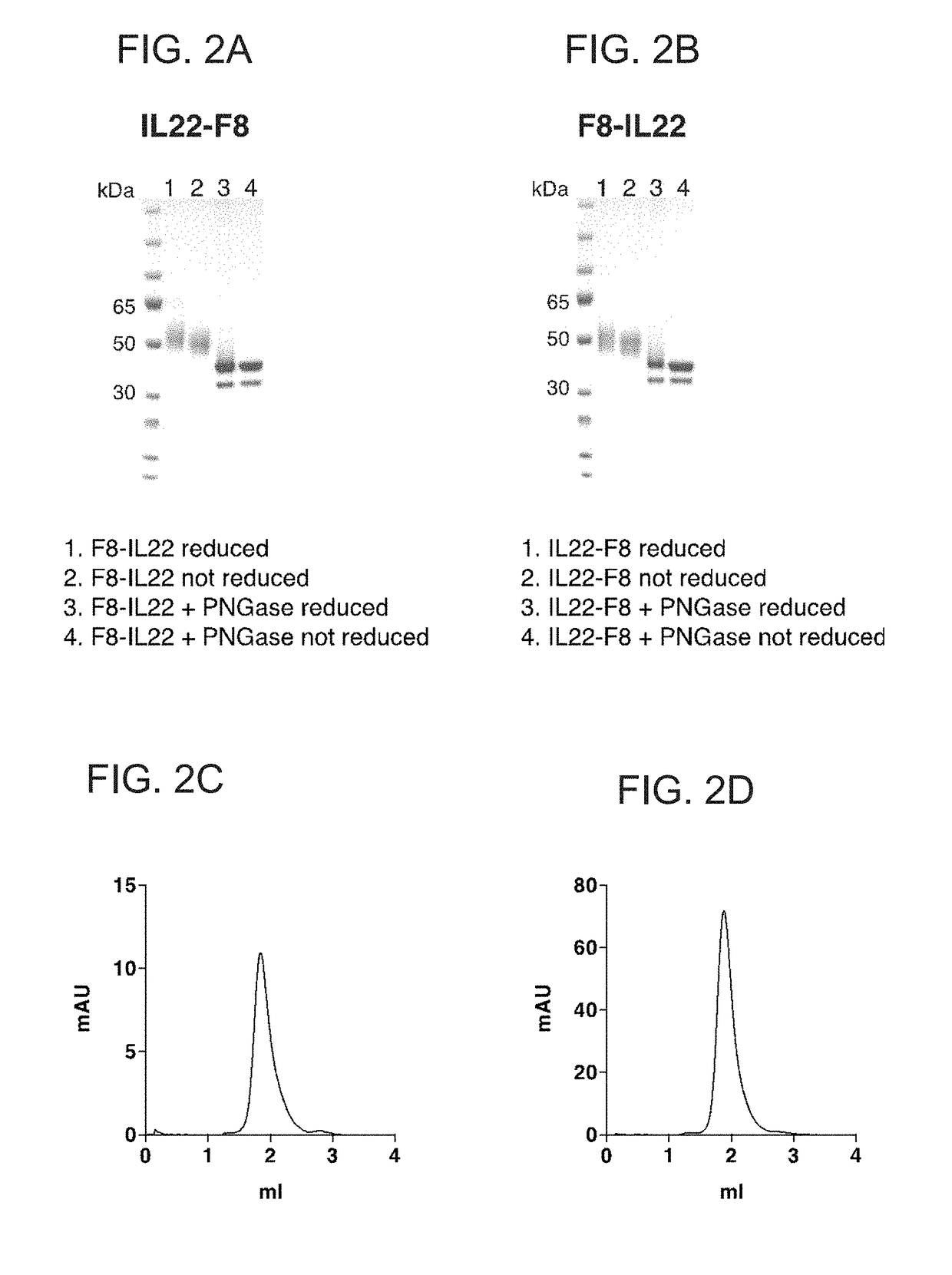 Il22 immunoconjugates