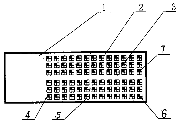 Composite chip for detecting autoimmune antibody of diabetes mellitus, and preparation and detection method thereof