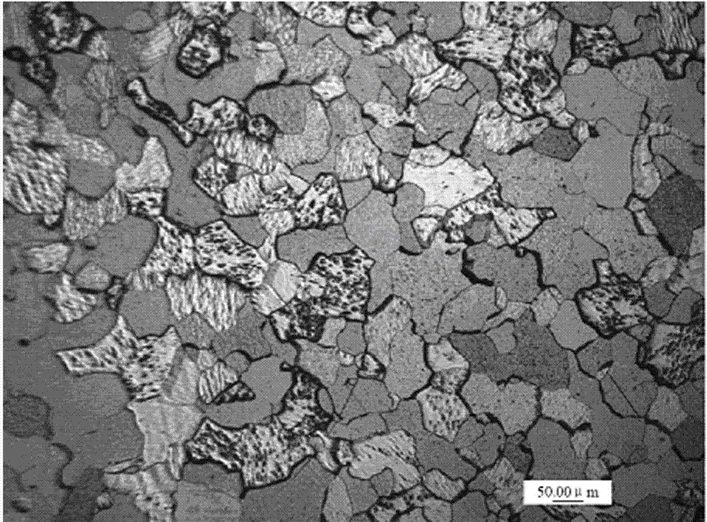 Large-sized high purity tungsten target and production method thereof