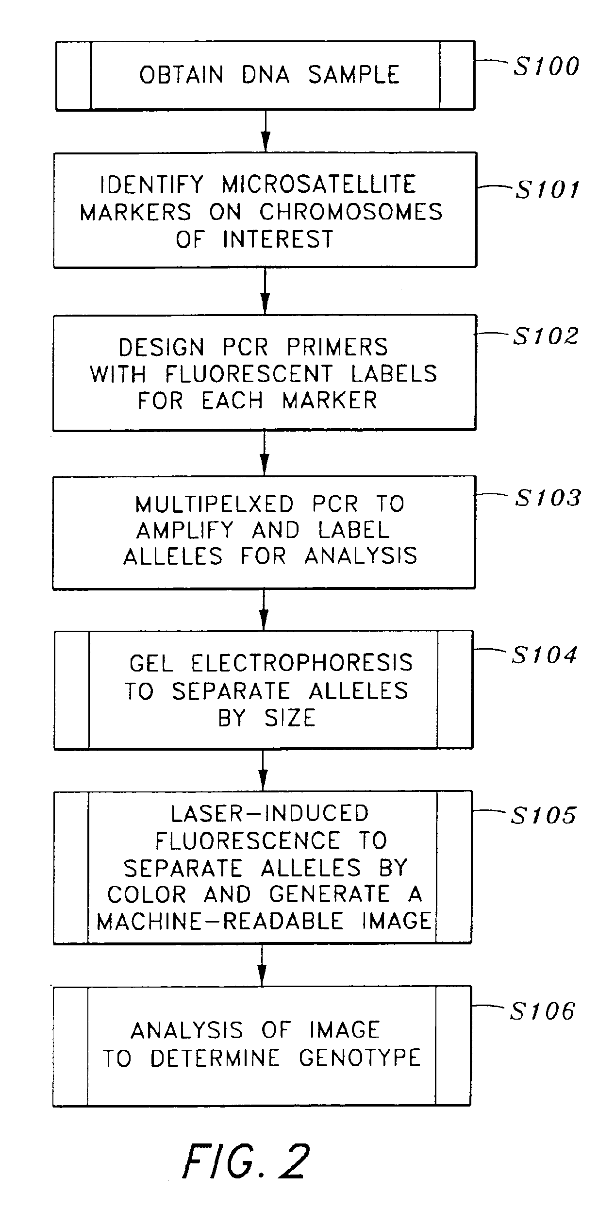 Genotype pattern recognition and classification