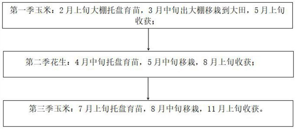 Corn-peanut-corn three-cropping cultivation method