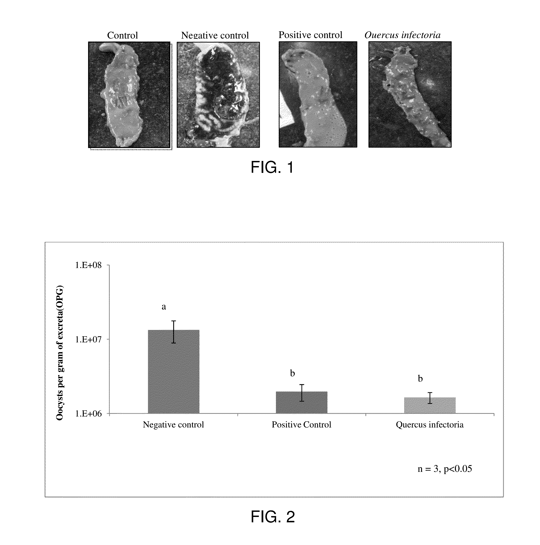 Plant Parts and Extracts Having Anticoccidial Activity