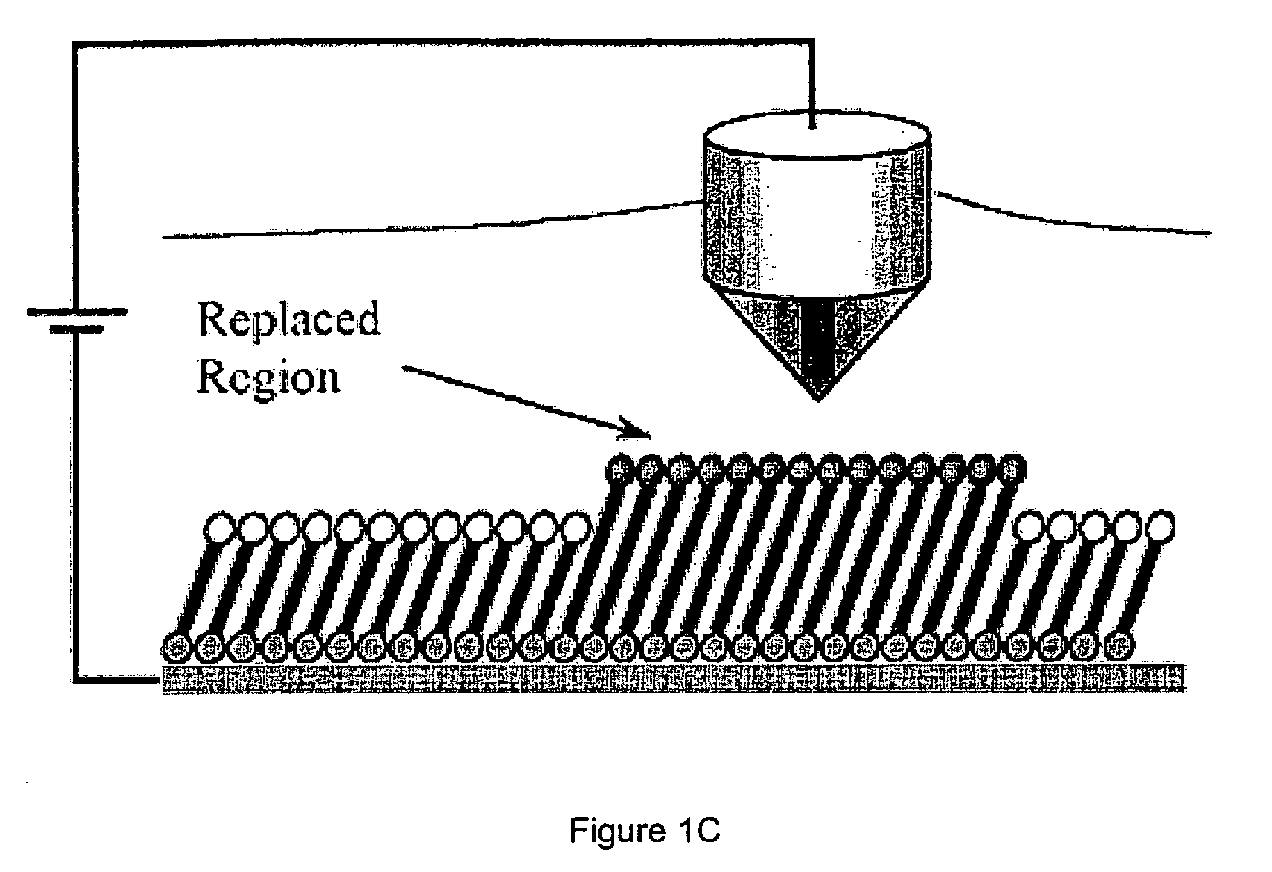 Gradient fabrication to direct transport on a surface