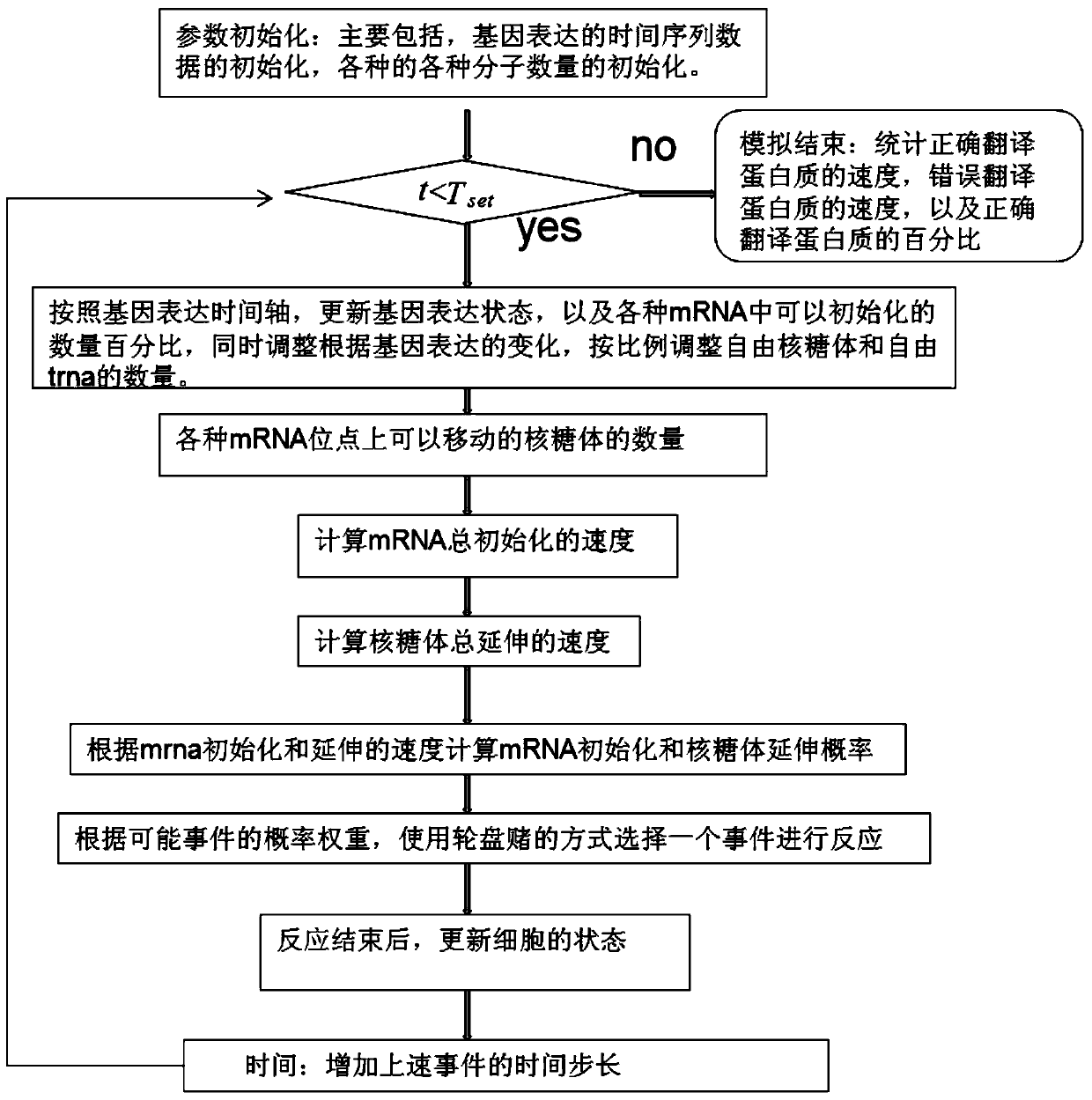 A modeling method for cellular gene translation process