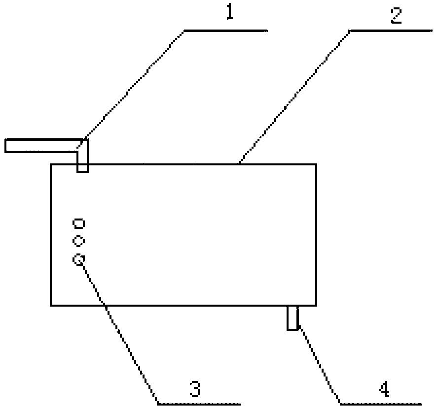 Giant salamander culture pond with constant water level