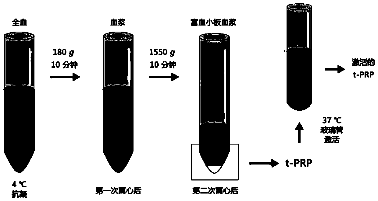 A method for preparing platelet-rich plasma without exogenous additives