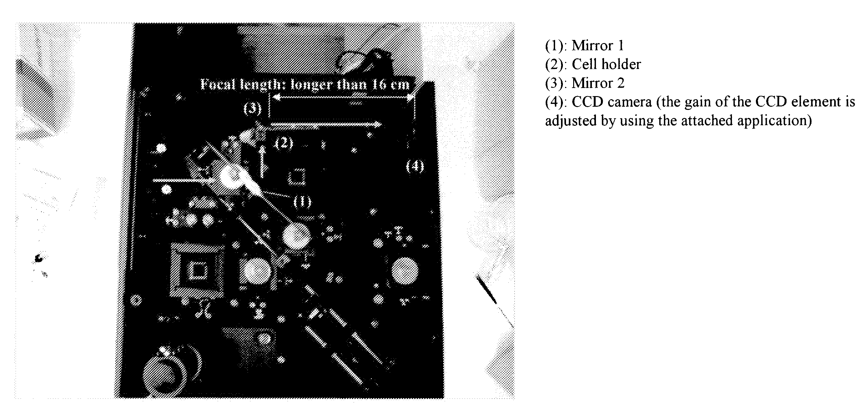 Detection And Analysis System For Protein Array