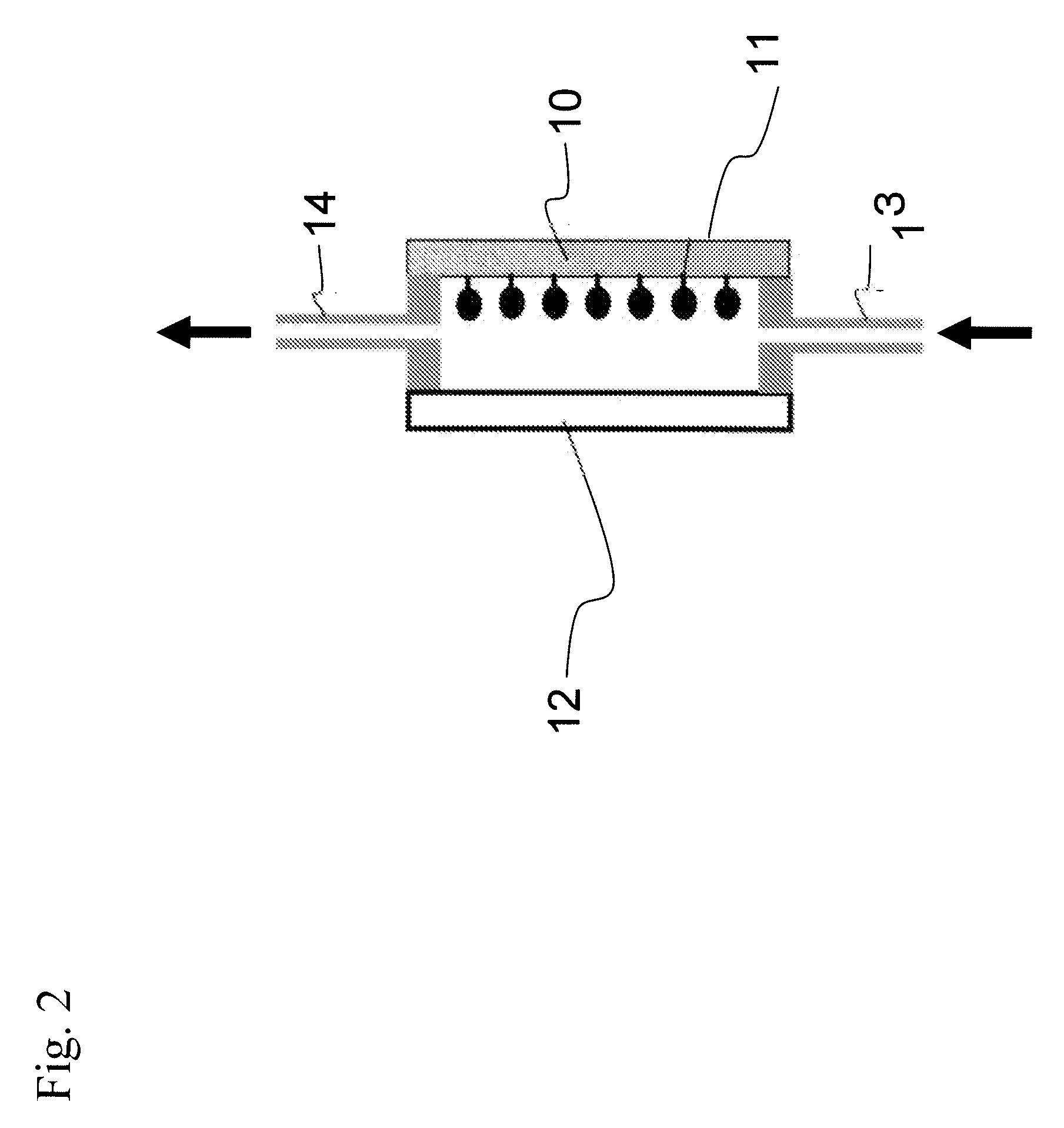 Detection And Analysis System For Protein Array