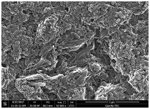 Mixed slurry for preparing composite diaphragm and preparation method of composite diaphragm