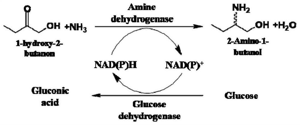 A kind of synthetic method of chiral aminoalcohol compound