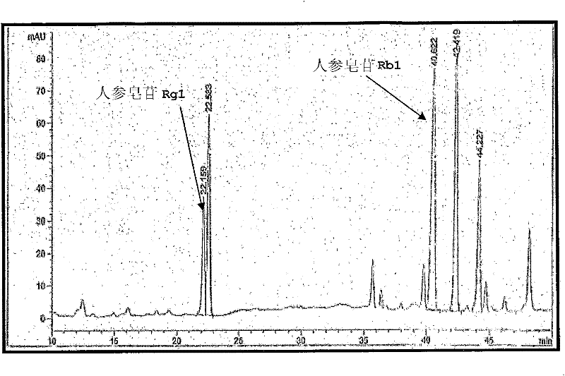 Method for preparing extract fraction reinforced with ginsenosides Rg1 or Rb1 from ginseng