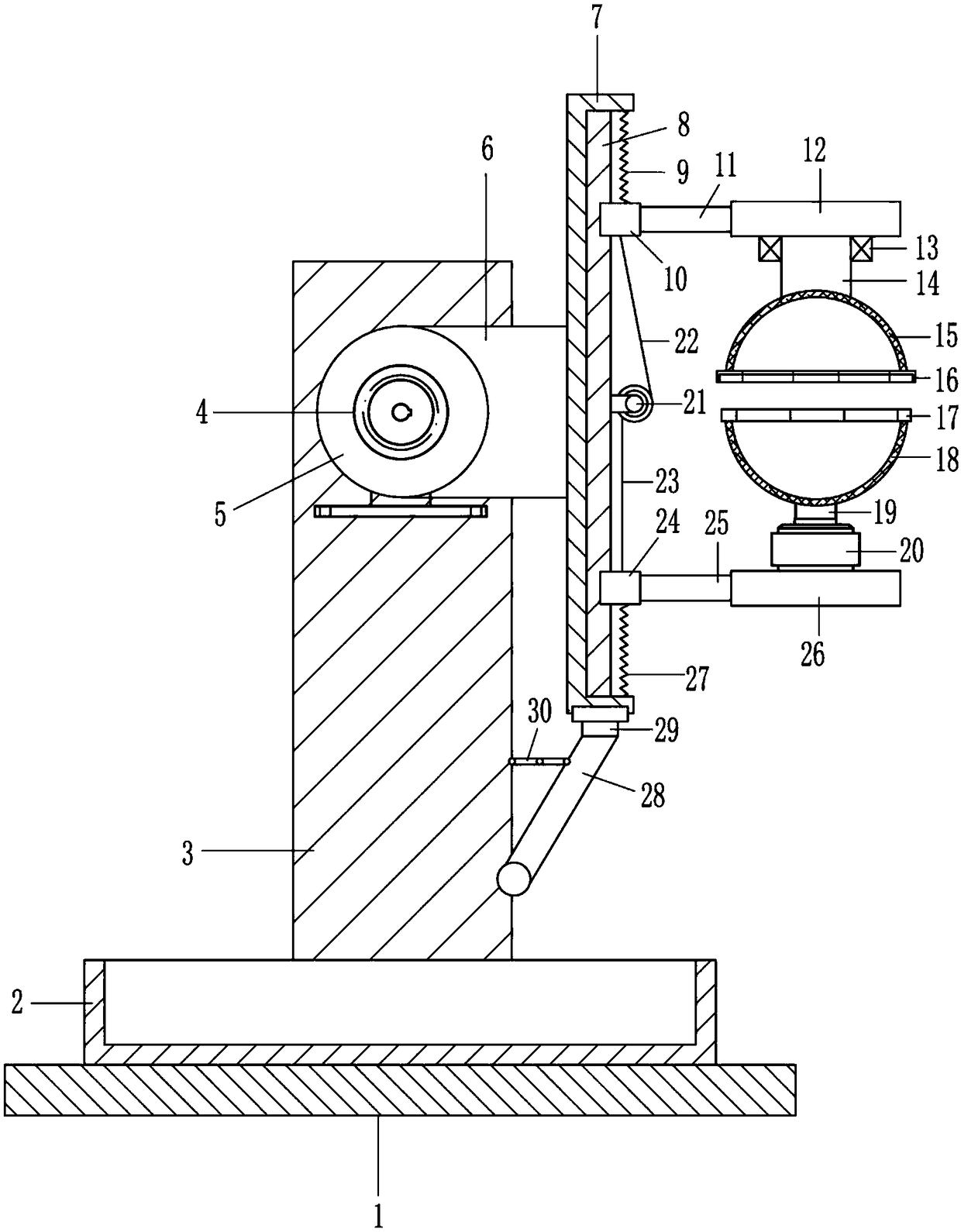 Camellia seed stoning machine for producing tea oil