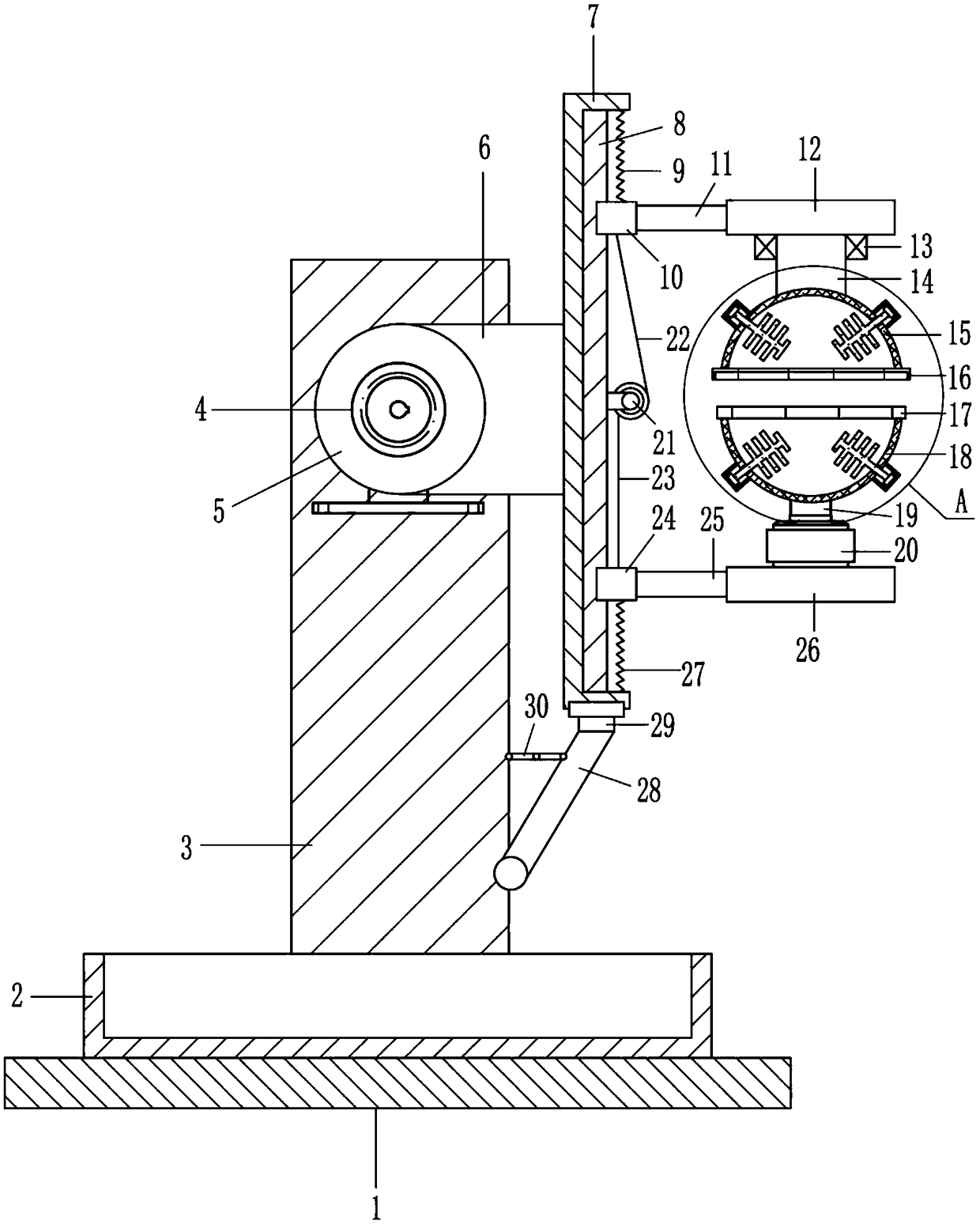 Camellia seed stoning machine for producing tea oil