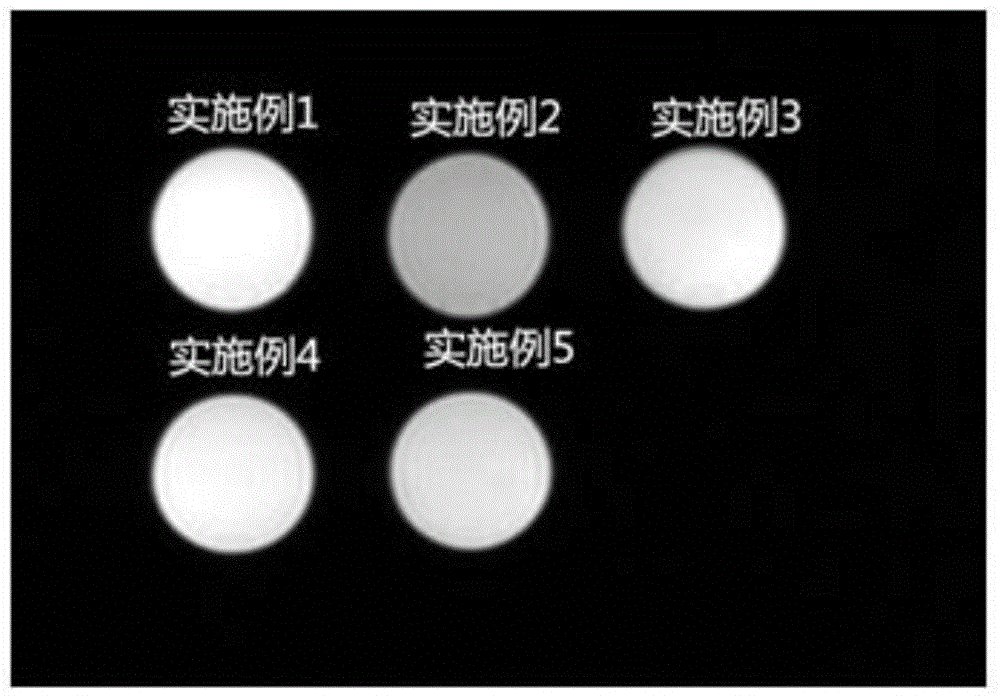 Preparation method of ultrasound and magnetic resonance two-mode contrast medium having lymph targeting