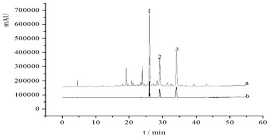 Method for extracting phlorizin, ascarin and afosidin from apple blossoms by using ionic liquid