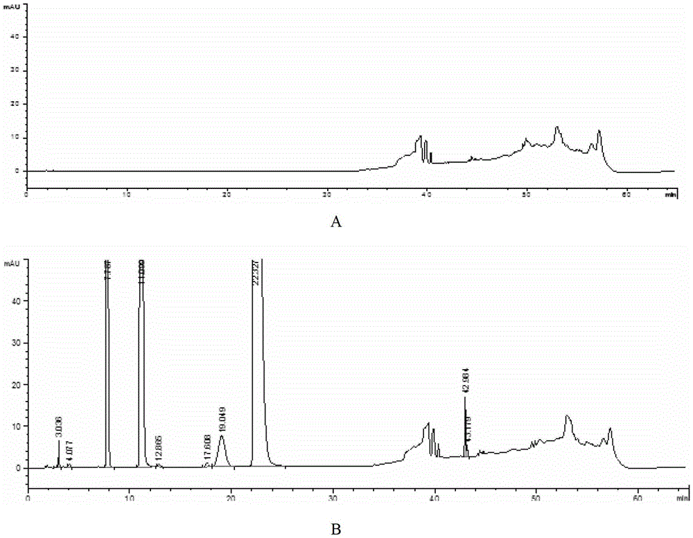 Detection method of related substances in compound ammonium barbiturate injection