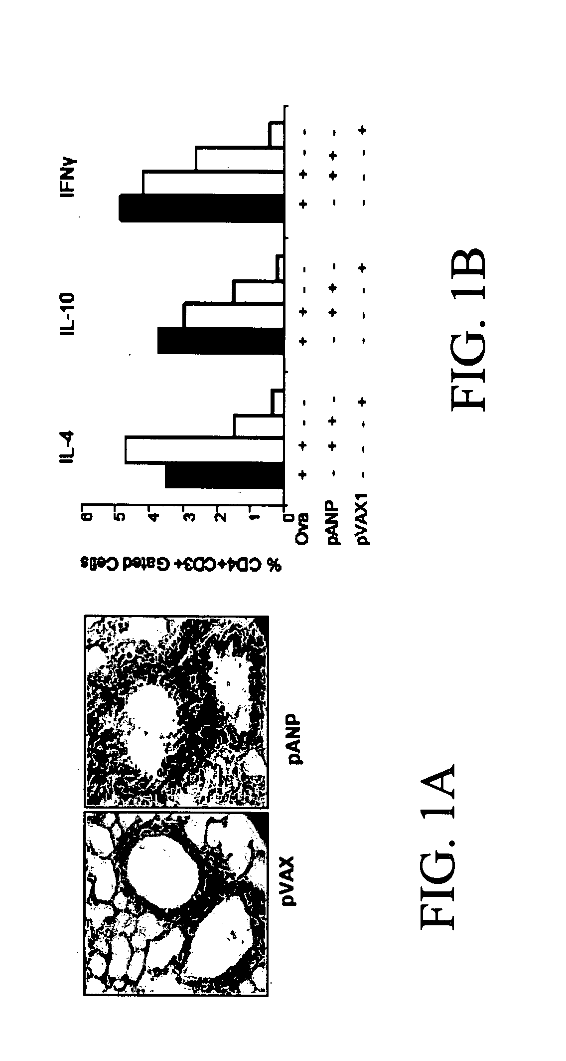 Materials and methods for reducing inflammation by inhibition of the atrial natriuretic peptide receptor