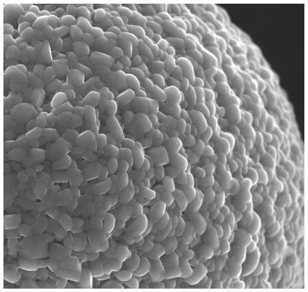 A kind of ternary cathode material and preparation method thereof