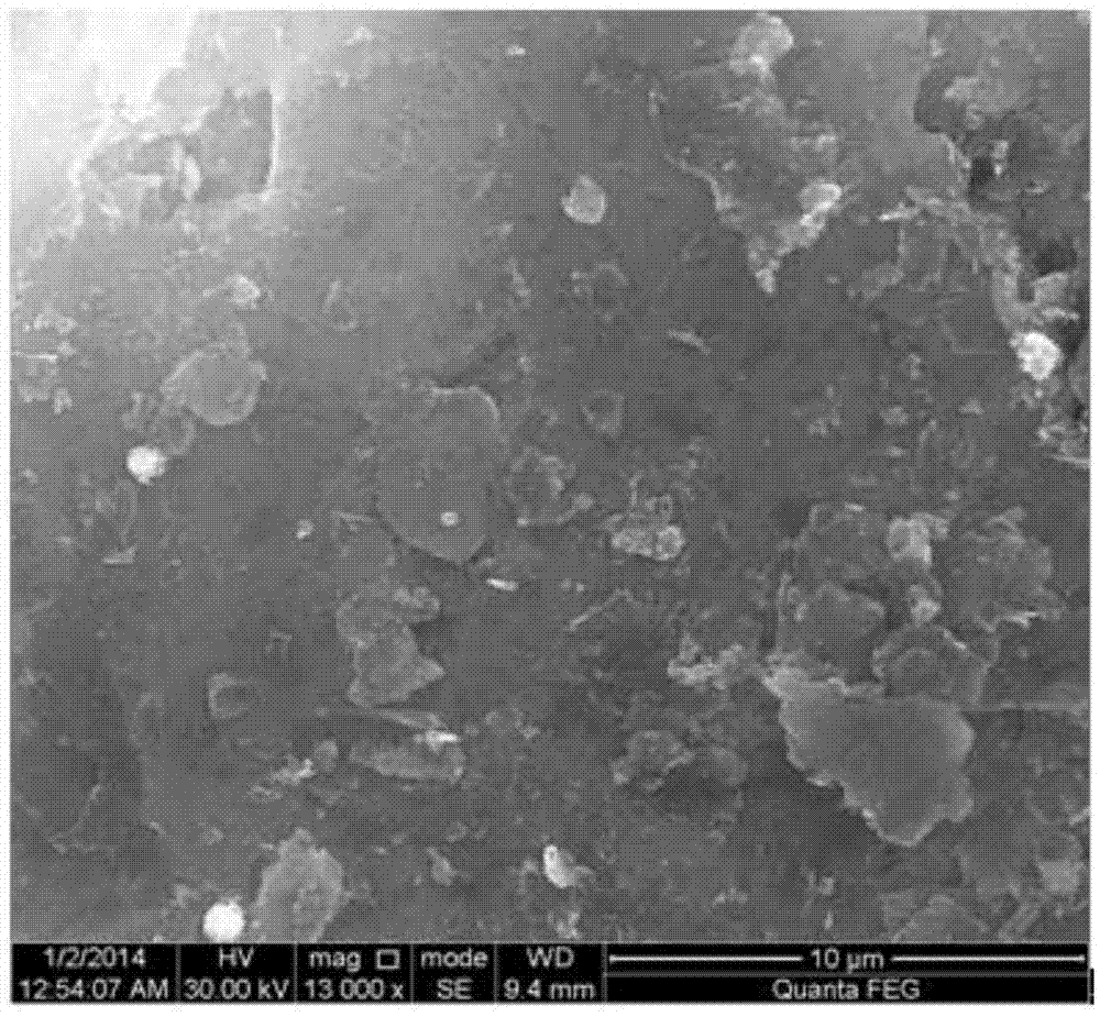 Preparation method of high-performance graphene nanosheet reinforced magnesium matrix composite