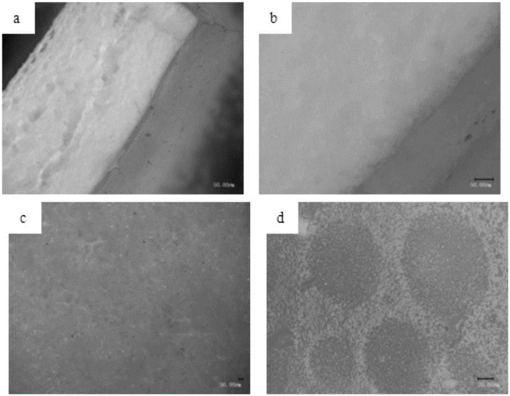 A kind of porous silicone rubber/polyurethane double-layer artificial skin containing nano-silver and its preparation method