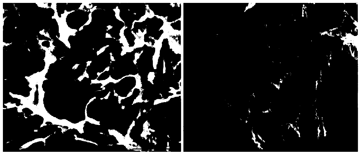 Nano porous starch-based material with high oil absorption rate and preparation method and application thereof