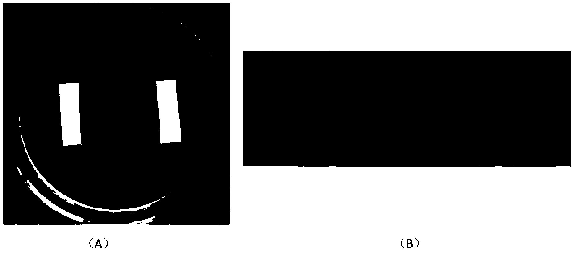 Method for transient expression of wheat leaf single cell based on efficient gene gun conversion and application of method