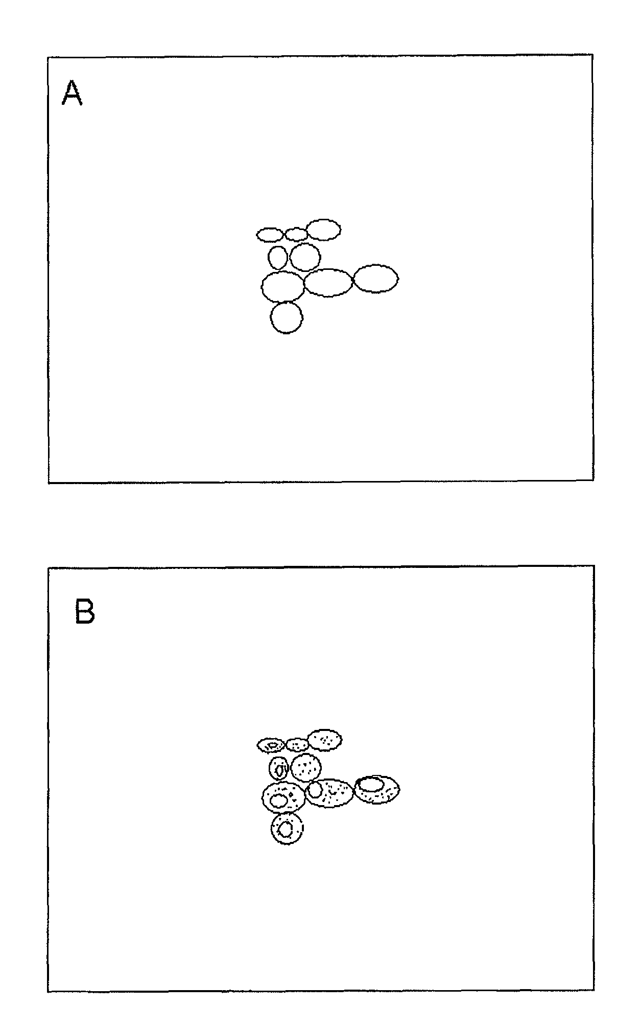 Use of therapeutically effective lipids and method for producing organ-/tissue-specific therapeutically effective lipids