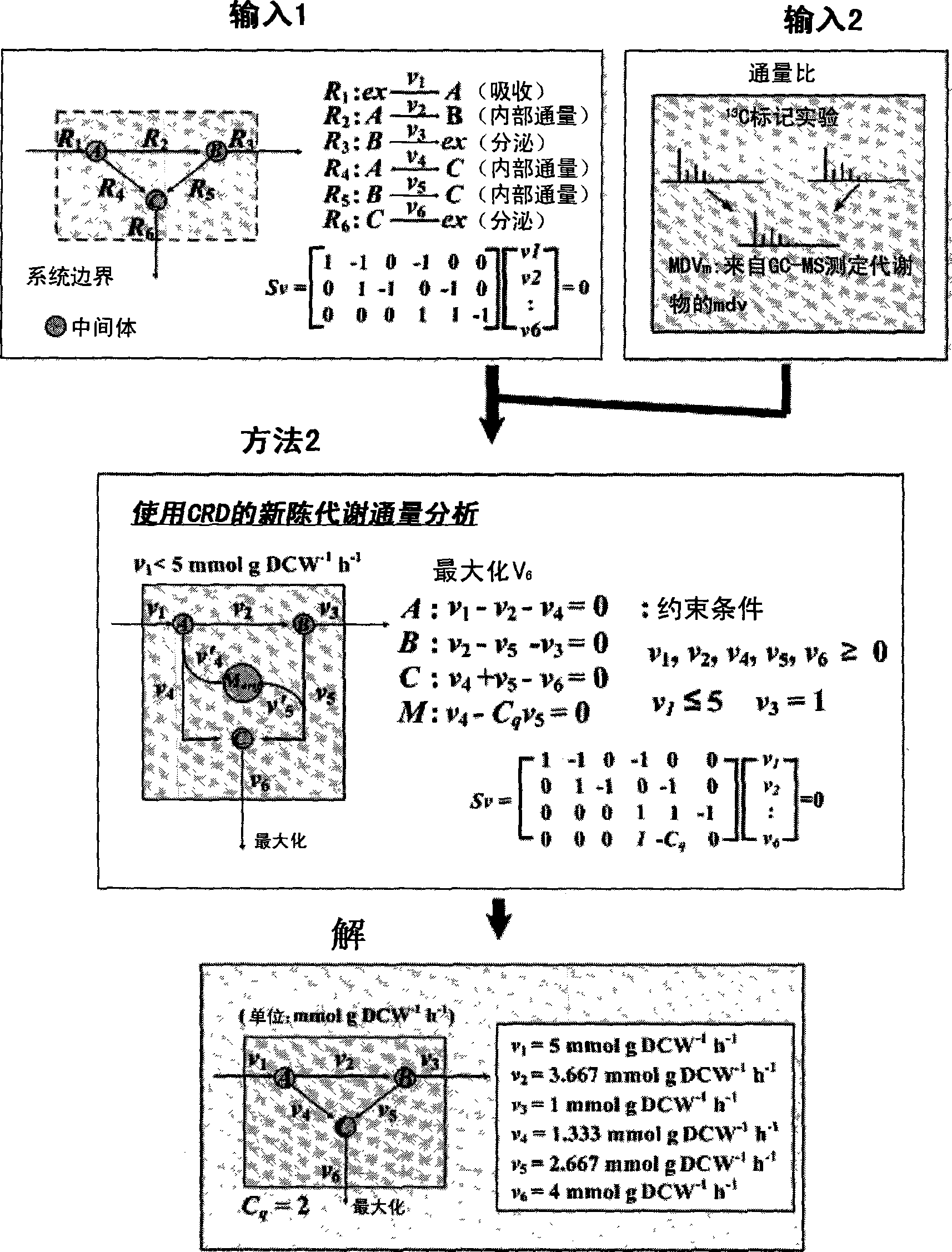 Method for analyzing metabolites flux using converging ratio determinant and split ratio determinant