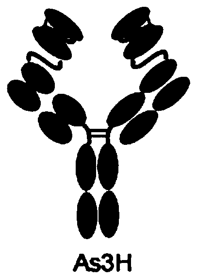 Preparation method of antibody coupled drug