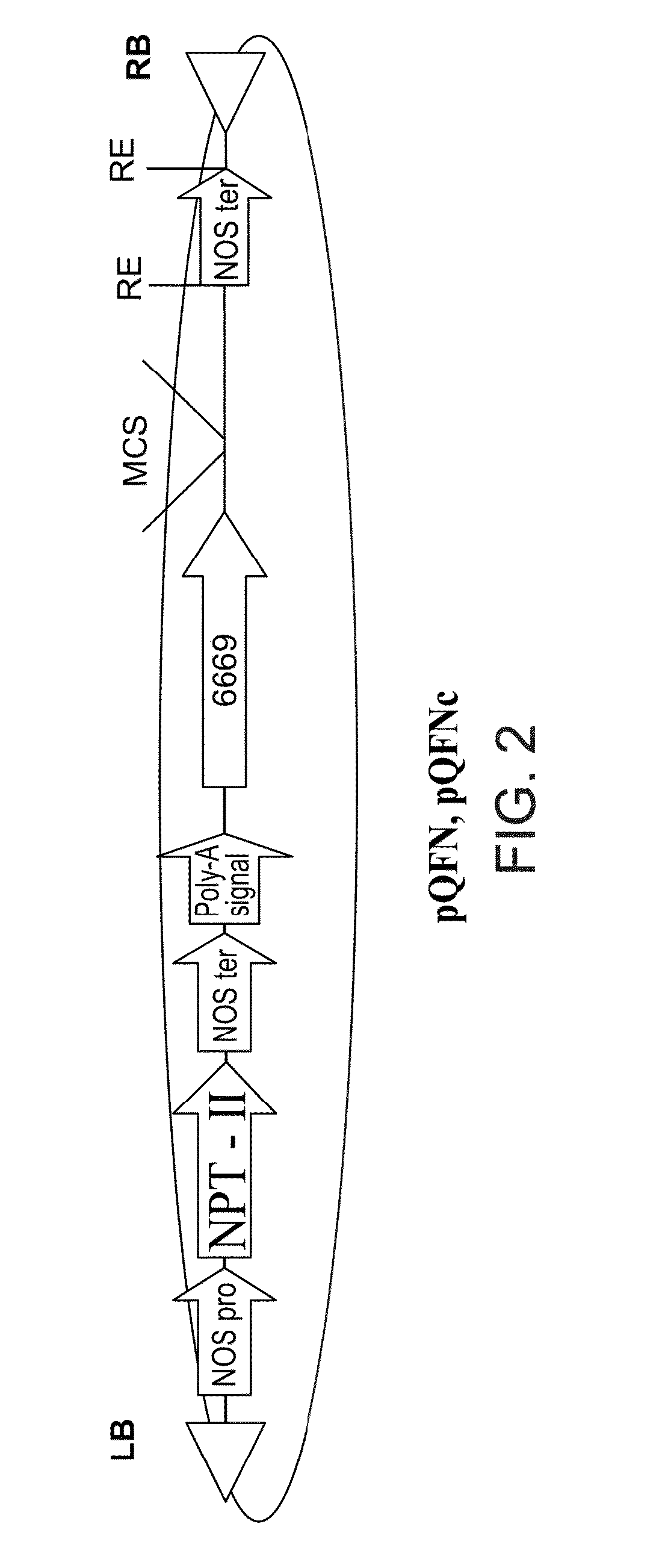 Isolated polynucleotides and polypeptides, and methods of using same for increasing nitrogen use efficiency of plants