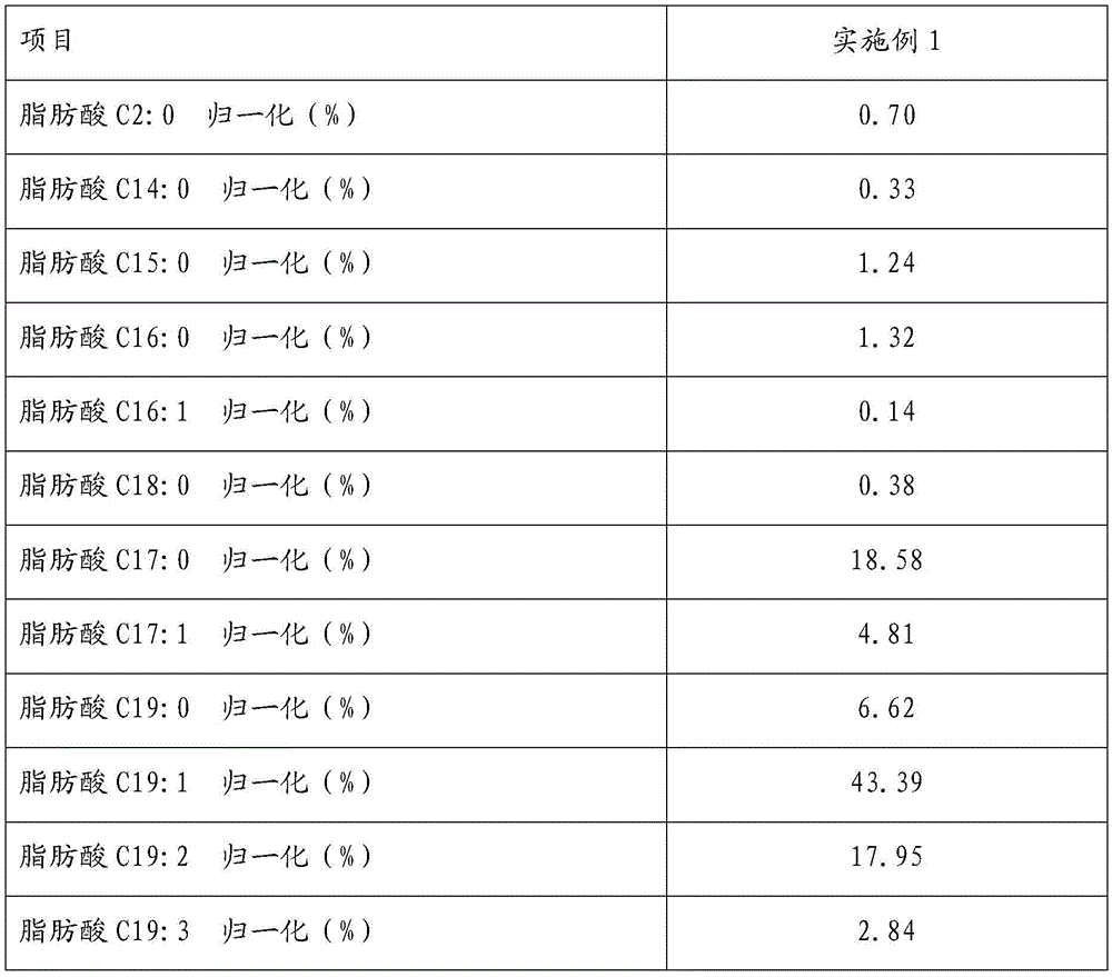 Fatigue preventing and body immunity and resistance activating health-care functional food and preparation method thereof