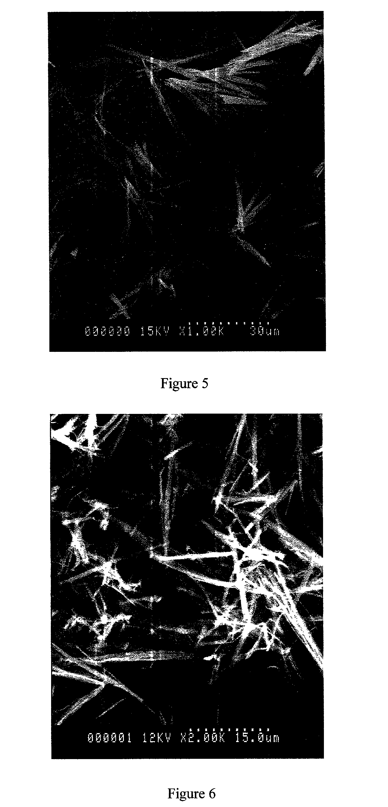 Particle formation methods and their products