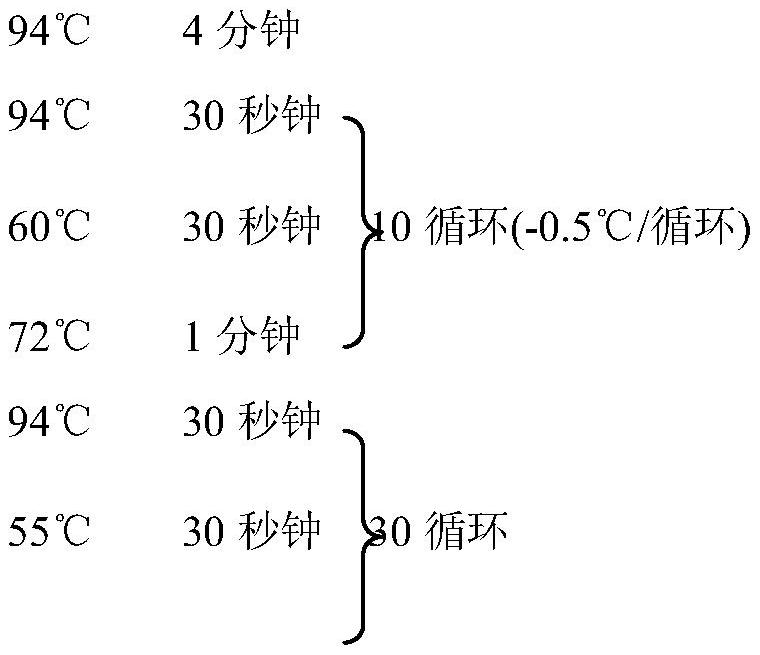 A Molecular Marker Primer and Application of the Main Effect Gene Locus of Rapeseed Seeds Per Corner Trait