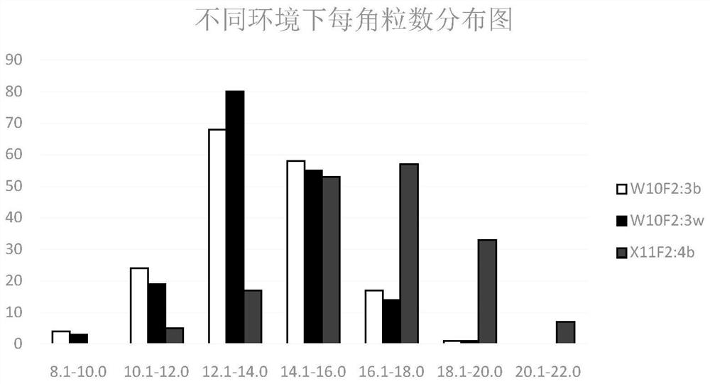 A Molecular Marker Primer and Application of the Main Effect Gene Locus of Rapeseed Seeds Per Corner Trait