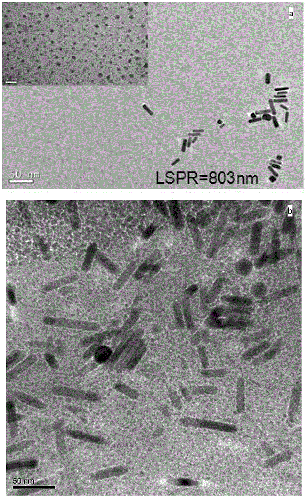 Application of copper-doped gold nanorods in preparation of antitumor drugs