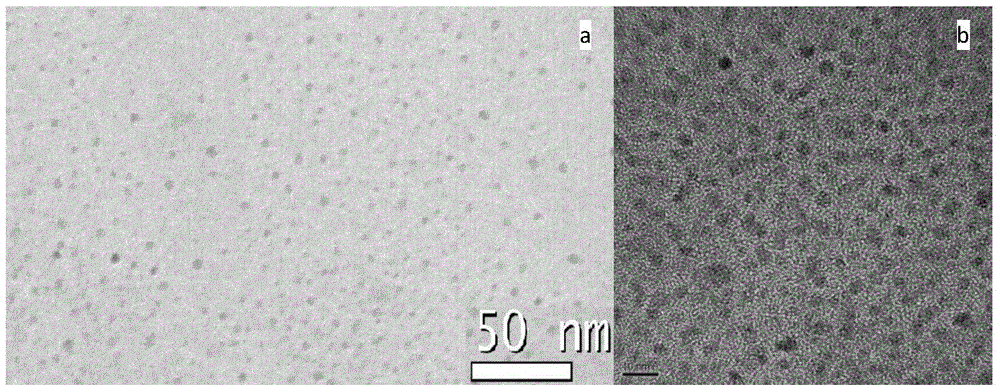 Application of copper-doped gold nanorods in preparation of antitumor drugs