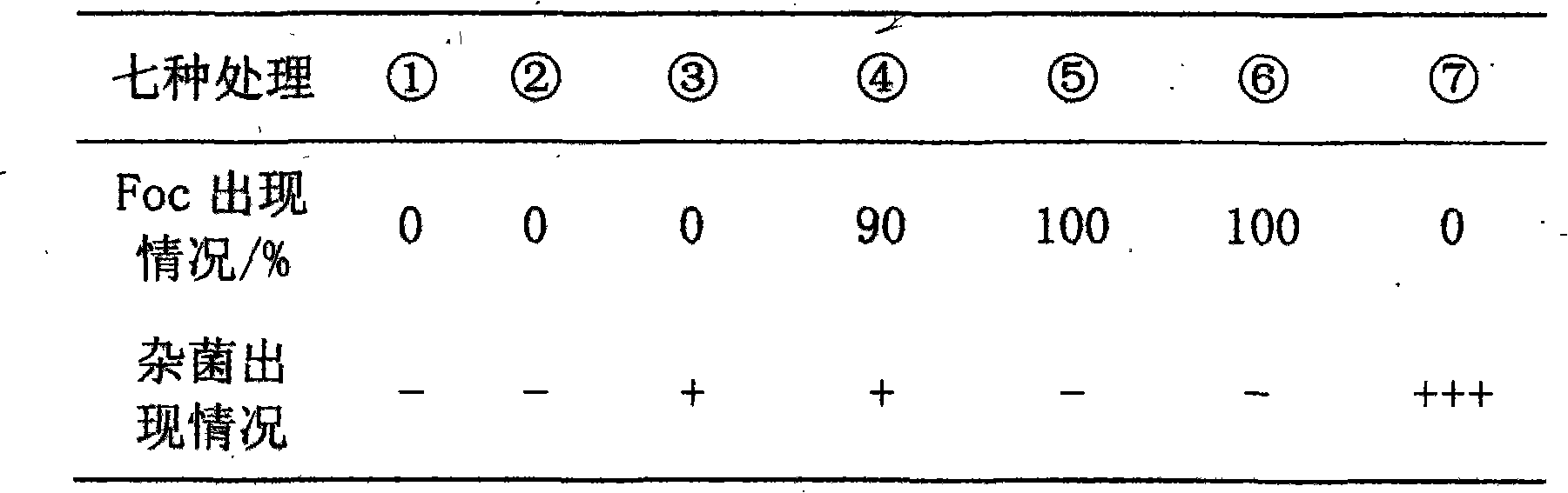 Culture medium for quickly separating and identifying banana fusarium oxysporum