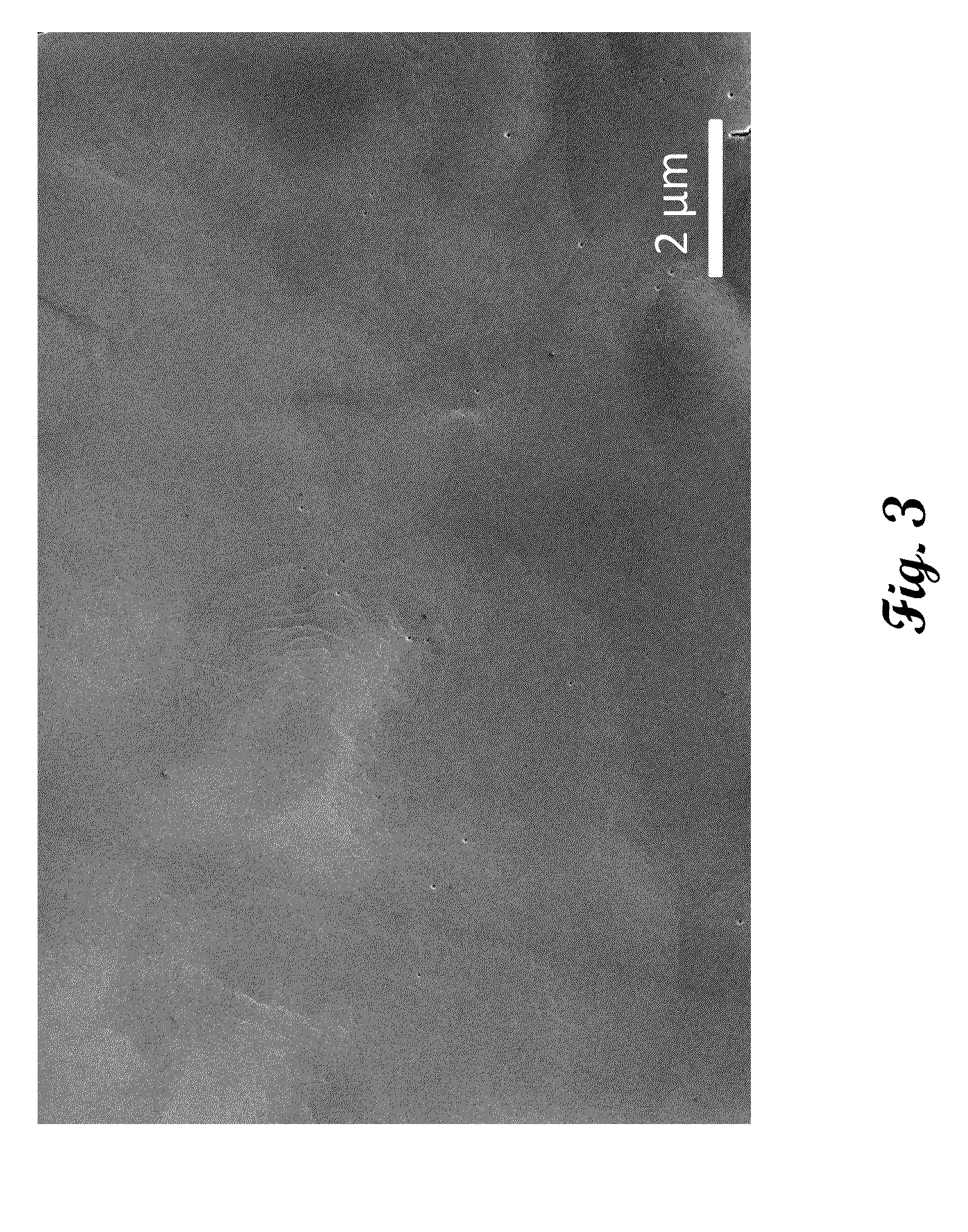 Method of Gallium Nitride growth over metallic substrate using Vapor Phase Epitaxy