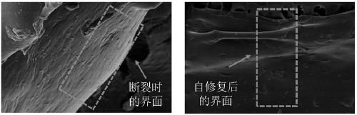 Fluorescence-responsive self-healing hydrogel and preparation method thereof