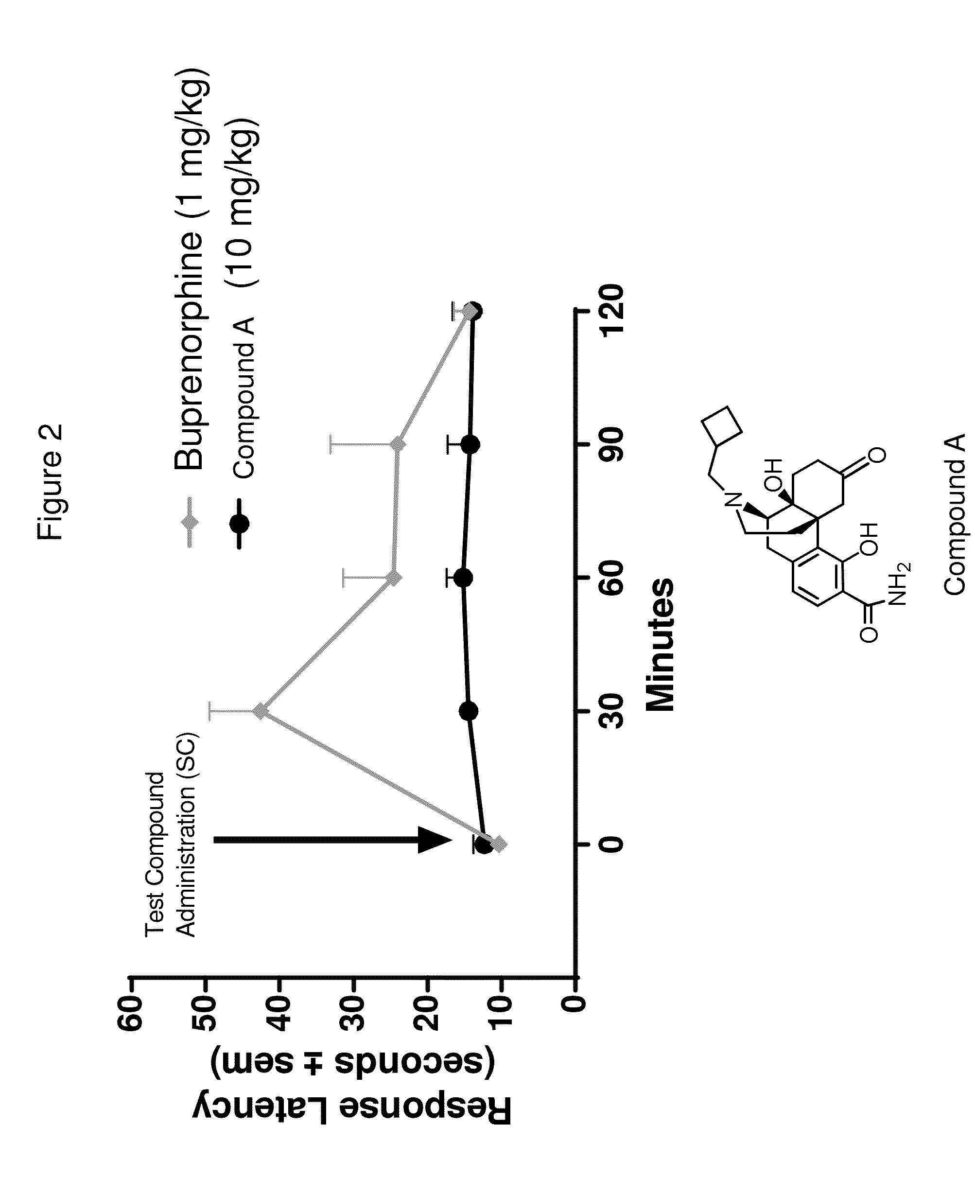 Morphan and Morphinan Analogues, and Methods of Use