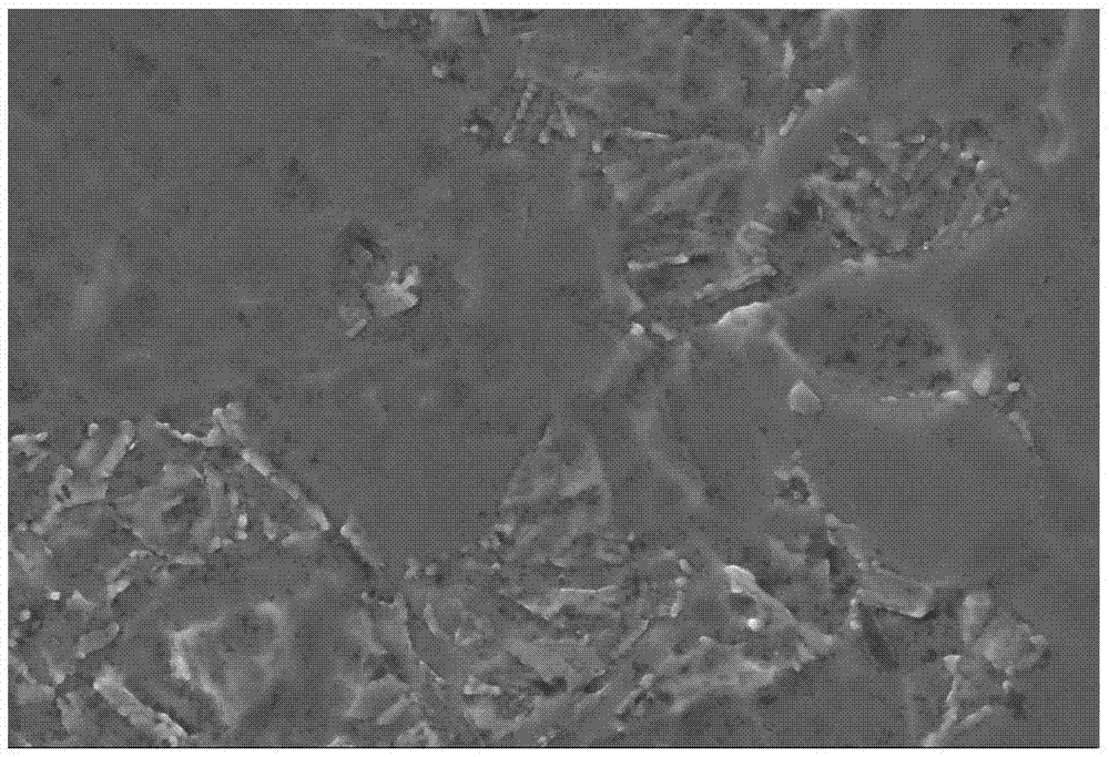 Anodic oxidation coloring method free of introducing of elements inconsistent with titanium and titanium alloy base materials