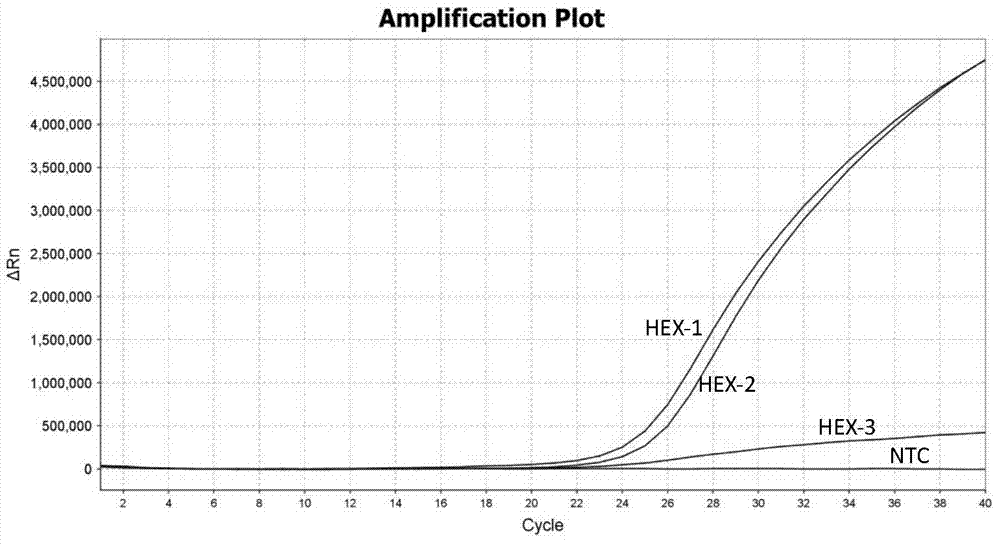 TaqMan probe real-time fluorescence PCR (Polymerase Chain Reaction) method for detecting HLA (Human Leukocyte Antigen)-B*5801 alleles