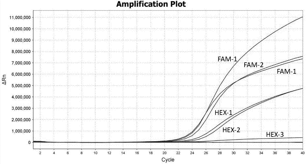 TaqMan probe real-time fluorescence PCR (Polymerase Chain Reaction) method for detecting HLA (Human Leukocyte Antigen)-B*5801 alleles