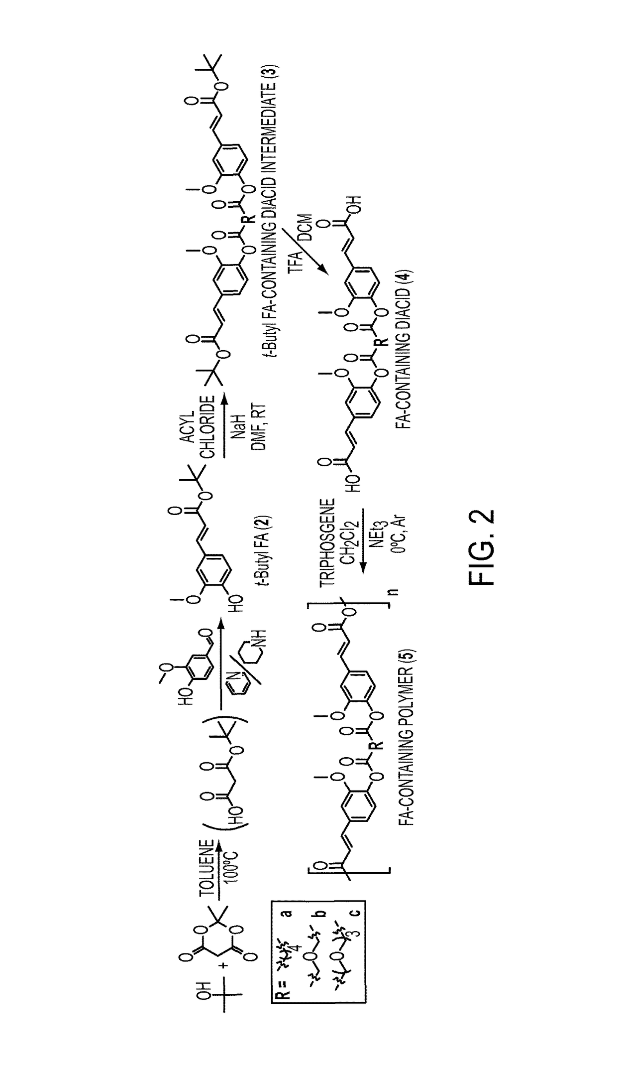 Antioxidant-based poly(anhydride-esters)