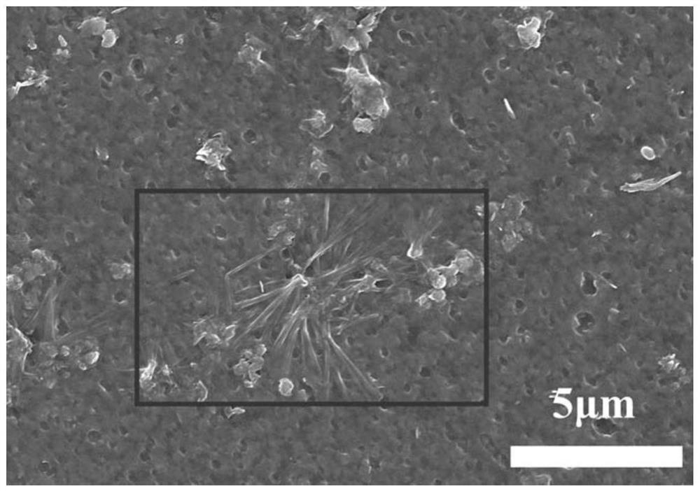 Preparation method of self-supporting composite nanofiltration membrane